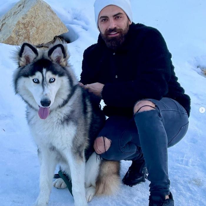 What Temperature Is Too Cold For Huskies? Husky Dog Club